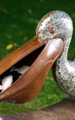 Pete the Pelican by Neil Findley