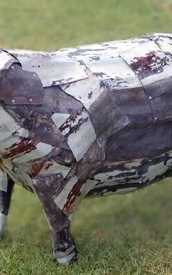 Pig by Angela MacDougall