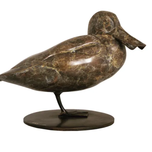 Pink Eared Duck by Lucy McEachern