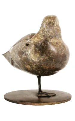 Pink Eared Duck by Lucy McEachern