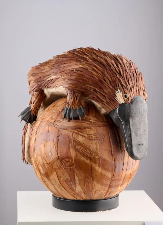 Planet Platypus by Sue Smales