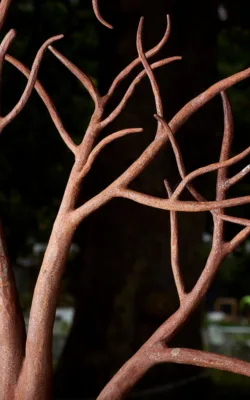 Plant form by Charlie Aquilina
