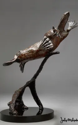 Platypus by Jake Mikoda