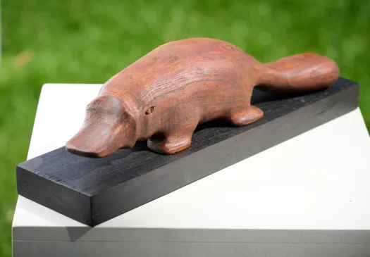 Platypus by Peter Sanders