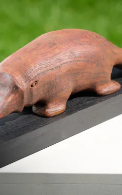 Platypus by Peter Sanders