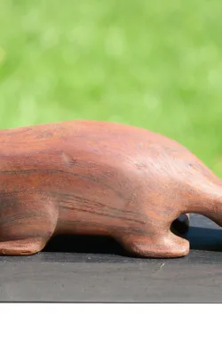 Platypus by Peter Sanders