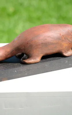 Platypus by Peter Sanders