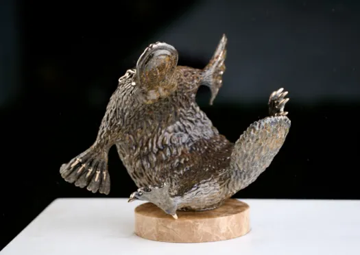 Playing Platypus by Jake Mikoda