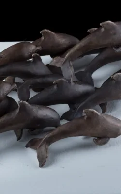 Pod by Anna Meszaros