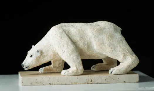 Polar Bear by Anne Anderson