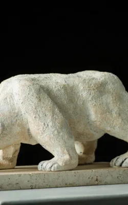 Polar Bear by Anne Anderson