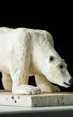 Polar Bear by Anne Anderson