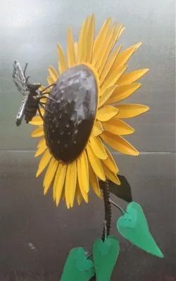 Pollen Collecting by Graeme Hardidge