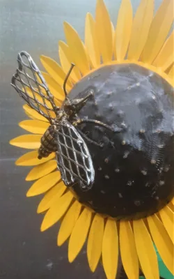 Pollen Collecting by Graeme Hardidge