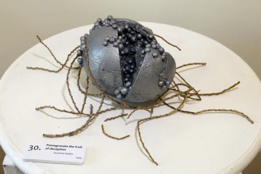 Pomegranate the fruit of deception by Suzanne Kaldor