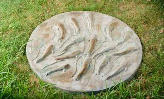 Pond by Anna Meszaros