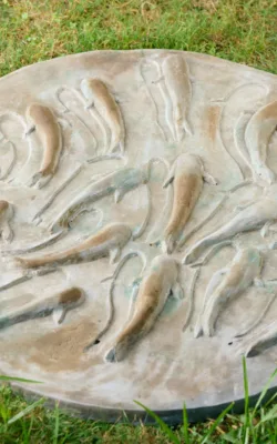 Pond by Anna Meszaros