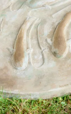 Pond by Anna Meszaros