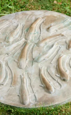 Pond by Anna Meszaros