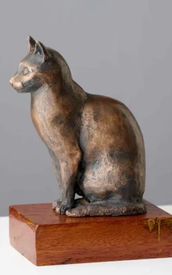 Portrait of a cat by Anna Meszaros