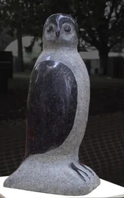 Powerful Owl by Mary Currin