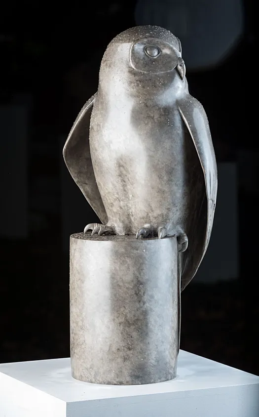 Powerful Owl by Lucy McEachern