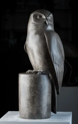 Powerful Owl by Lucy McEachern