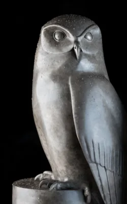 Powerful Owl by Lucy McEachern