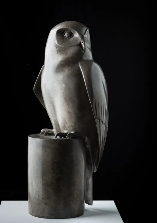 Powerful Owl by Lucy McEachern