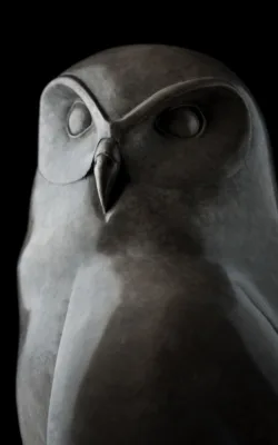 Powerful Owl by Lucy McEachern