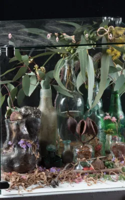 Propagation and Encroachment on The Edge of the Desert by Wendy Reiss