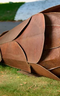 Protea by Gavin Roberts