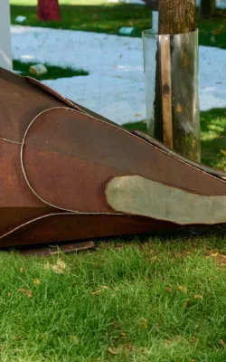 Protea by Gavin Roberts