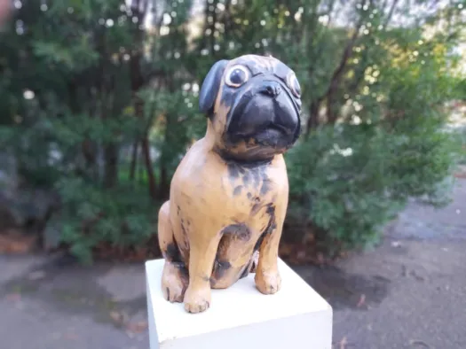 Pugsy by Shlomit Moria