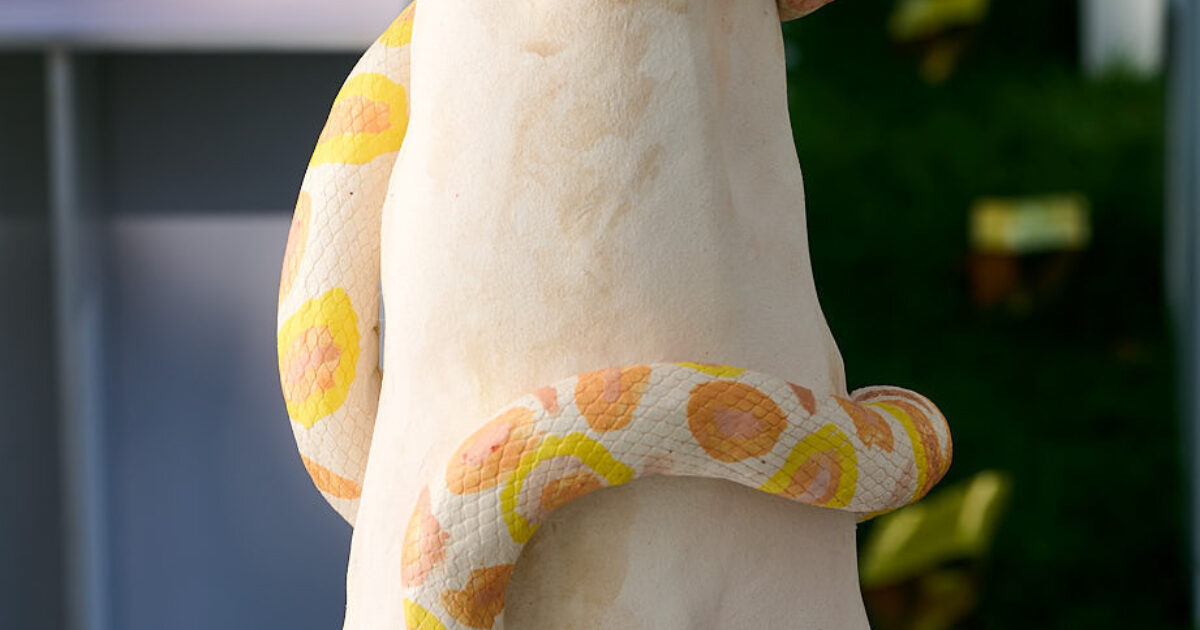 Python | Association of Sculptors of Victoria
