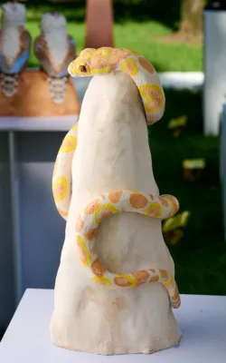 Python by Heather Wilson