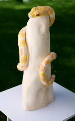 Python by Heather Wilson