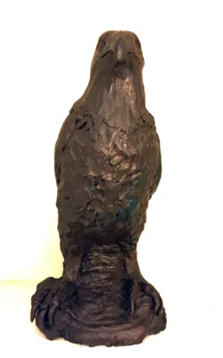 Raptor 2 by Bronwyn Culshaw