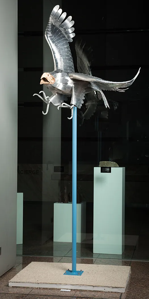 Raptor by Graham Duell