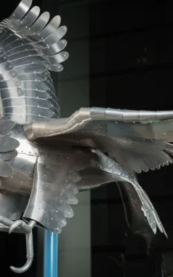 Raptor by Graham Duell