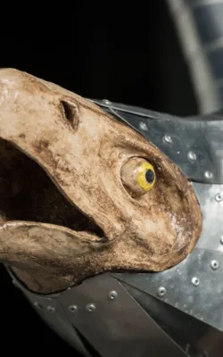 Raptor by Graham Duell