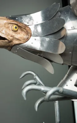 Raptor by Graham Duell