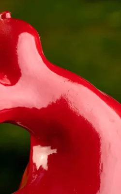 Red Ripe by Susie Ashkenazi