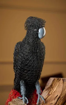 Red-tailed Black Cockatoo by Vicki Combridge