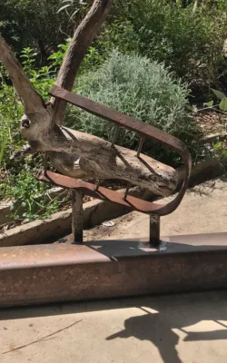 Remnant in Steel Trap by Rachel Steinman