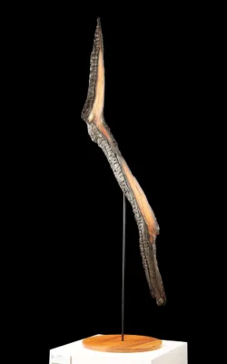 Remnant by Michael Adeney