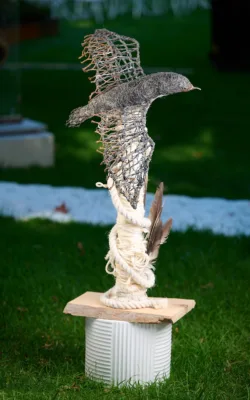 Return of the Moonbird by Kaz Clarke