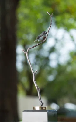 Robin in a Wattle by Jake Mikoda