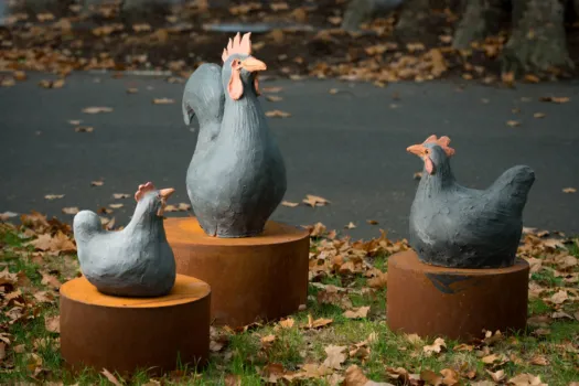 Rooster and Chooks by Meredith Plain
