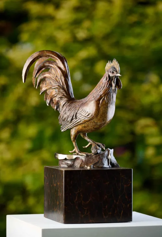 Rooster by Jake Mikoda